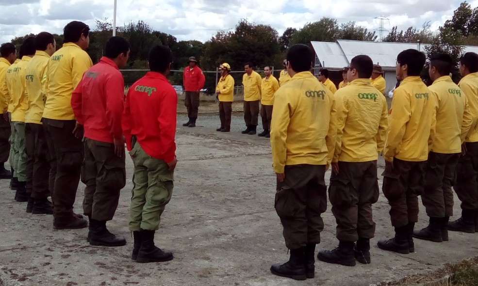 CONAF abrió convocatoria a brigadistas para la nueva temporada de incendios forestales