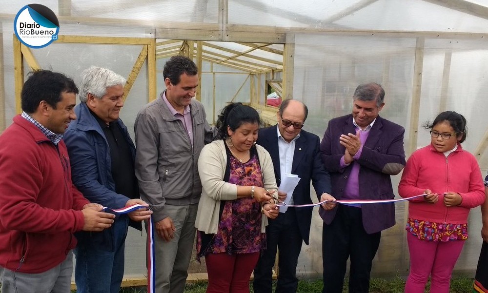 Autoridades y comunidad indígena InaltuLafken, de Mantilhue, inauguraron “Unidad Productiva de Plantas”