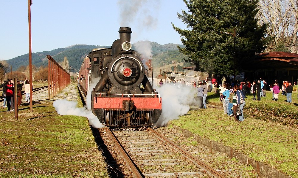 ​​‌​Tren Turístico “El Valdiviano” duplica sus viajes para este verano y suma dos recorridos especiales hasta Los Lagos