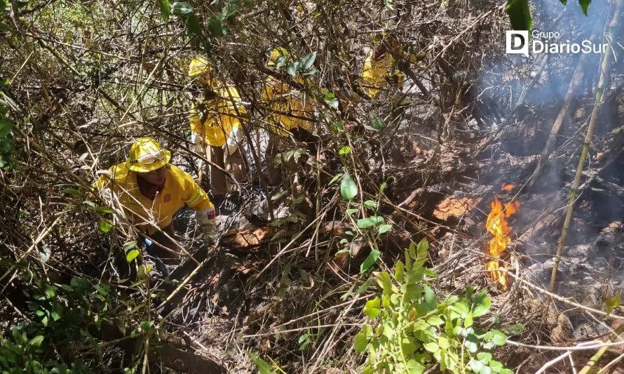 Cerca de 100 personas continúan combatiendo incendio forestal en Paillaco