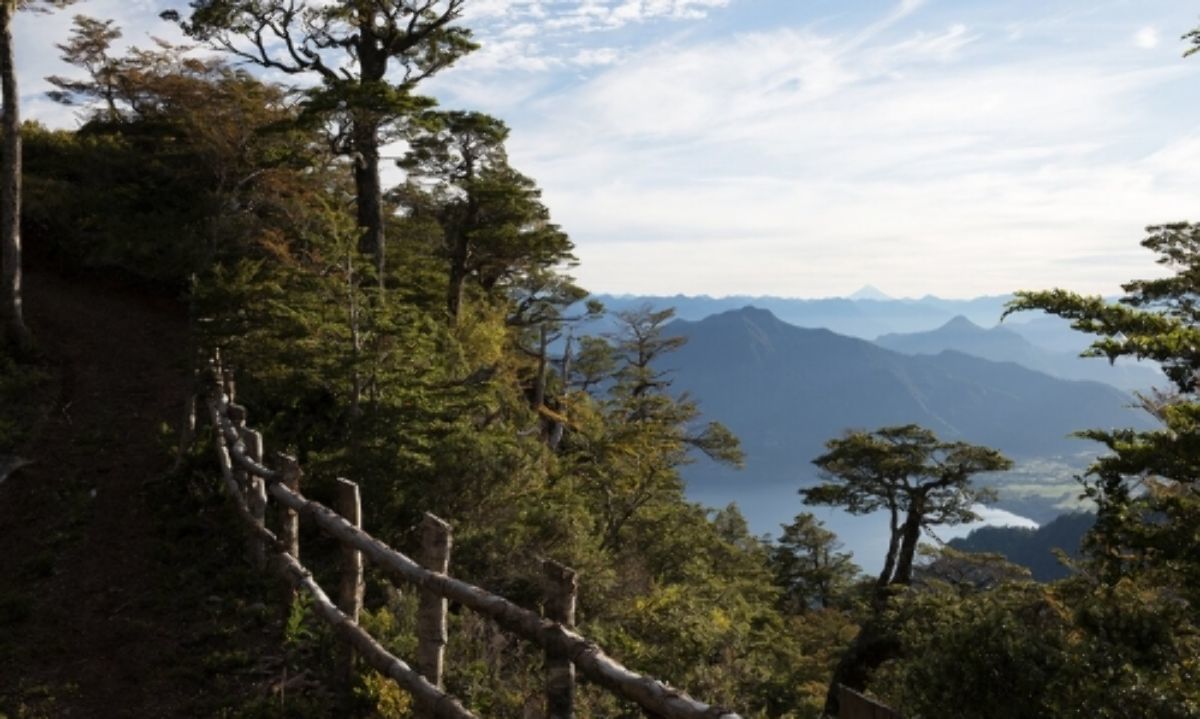 Trekking de invierno: 3 parques que puedes recorrer durante tus vacaciones en la Cuenca del Lago Ranco