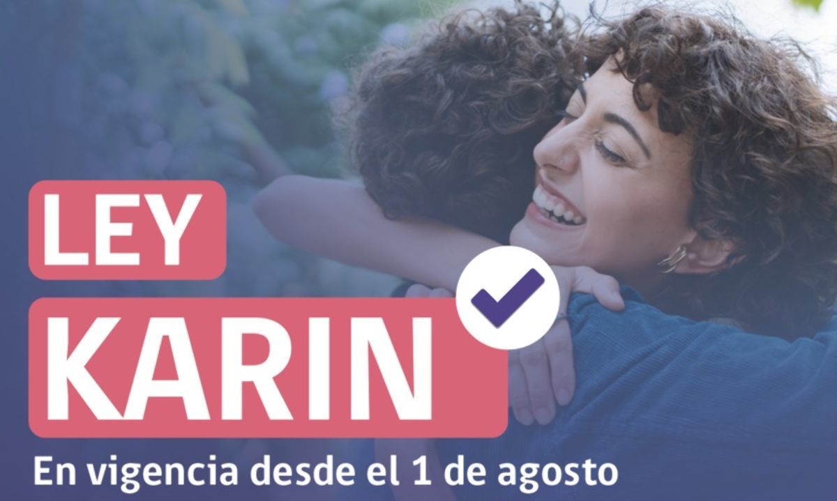 Ley Karin entrará en vigor a inicios de agosto - Diario Río Bueno