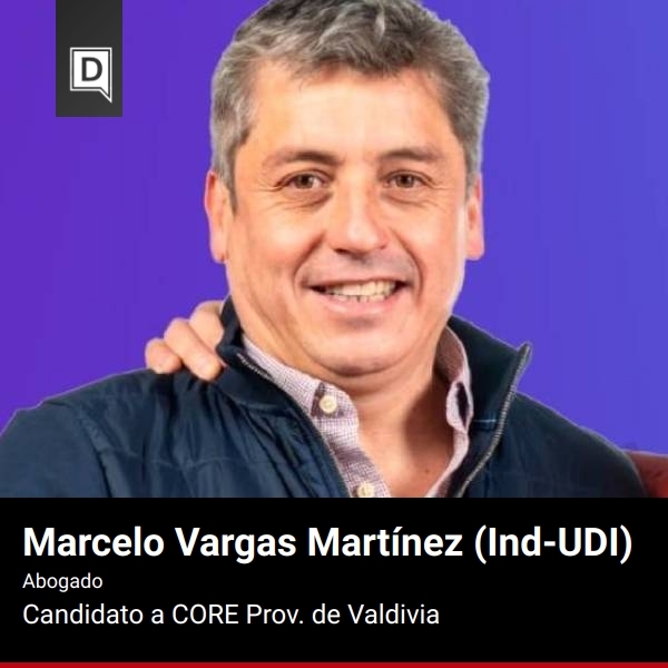 Marcelo Vargas Martínez 